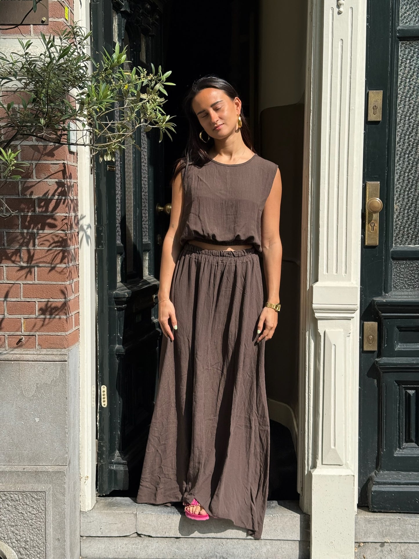 Julia set bruin