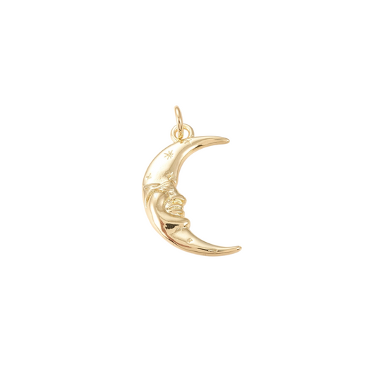Bedel to the moon