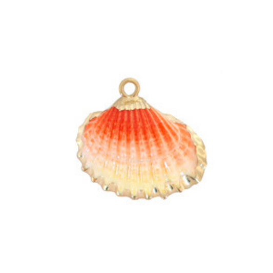 Bedel schelp ombre