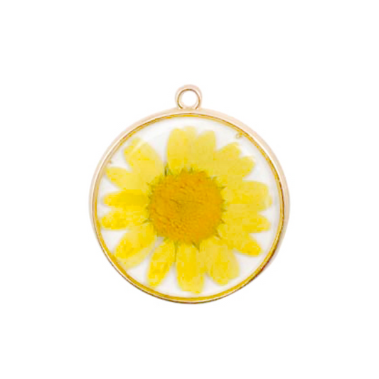 Bedel zonnebloem