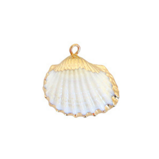 schelp bedel wit goud